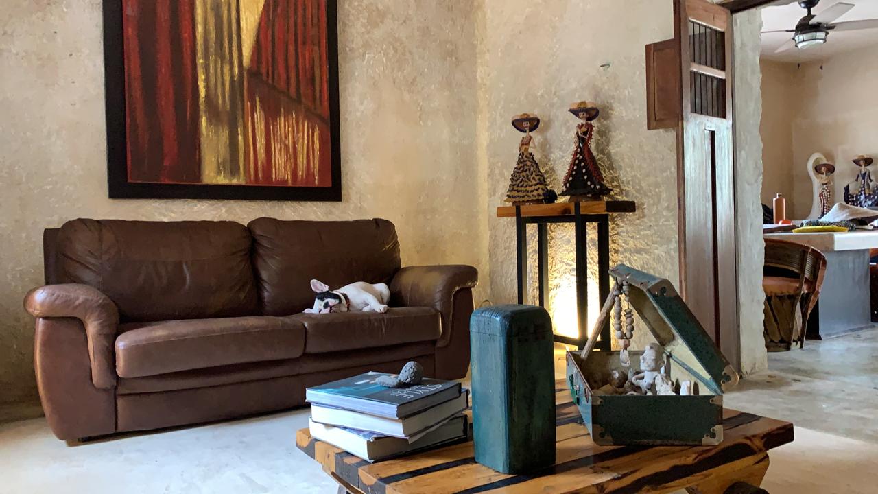 Sala con sofá de cuero marrón, perro durmiendo, mesa de centro y decoración rústica.
